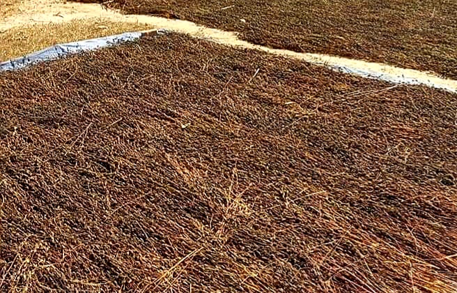 20210115_113533.jpg