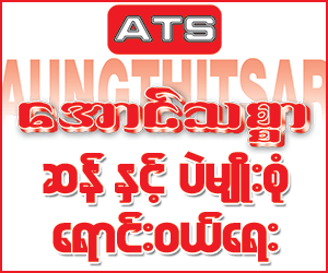 Aung-Thitsar-Warehouses-Rice_0761_Food.png