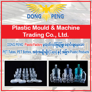 Dong-Peng-Plastic.jpg