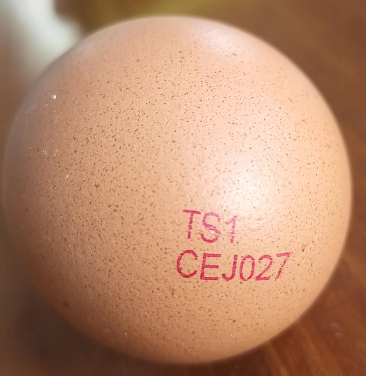 EGG_CE_J_027.jpg