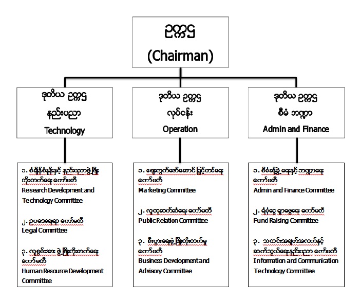 Organization Structure